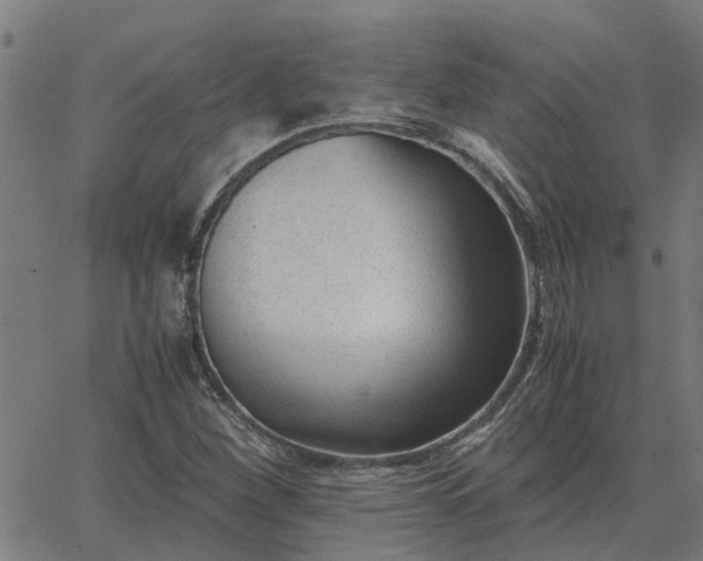 X0000062881260200601201811