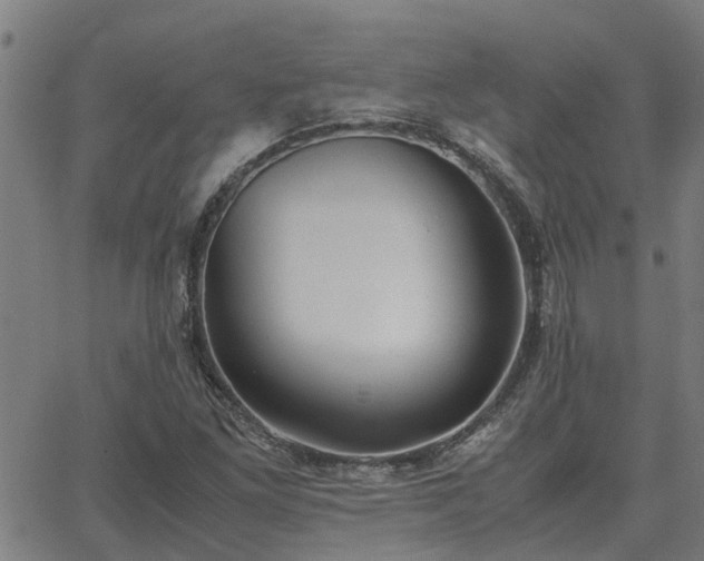 X0000062881261200601201811