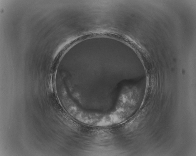 X0000062881262200601201810