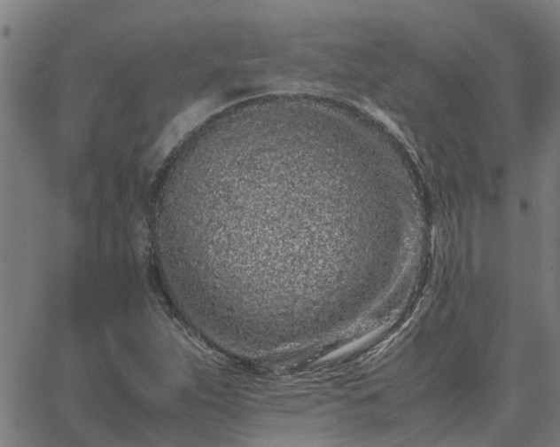 X0000062881263200601201810