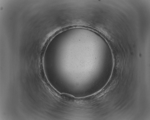 X0000062881264200601201810