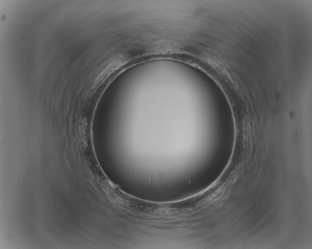 X0000062881265200601201810