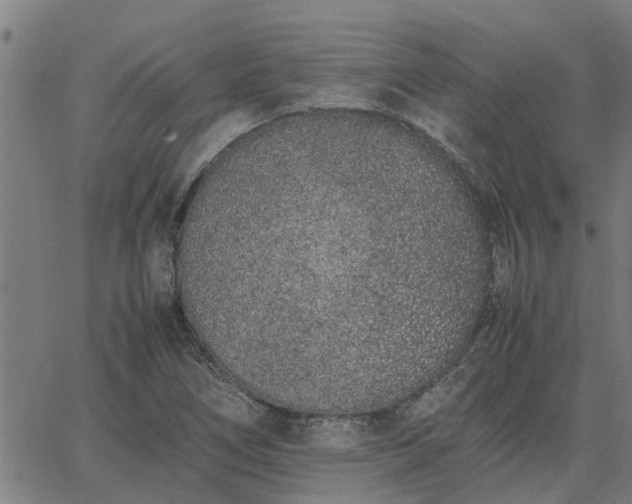 X0000062881266200601201810