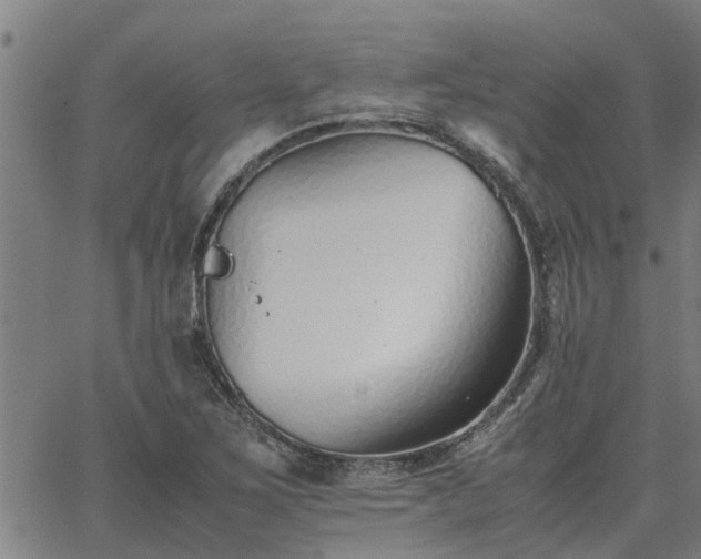 X0000062881267200601201810