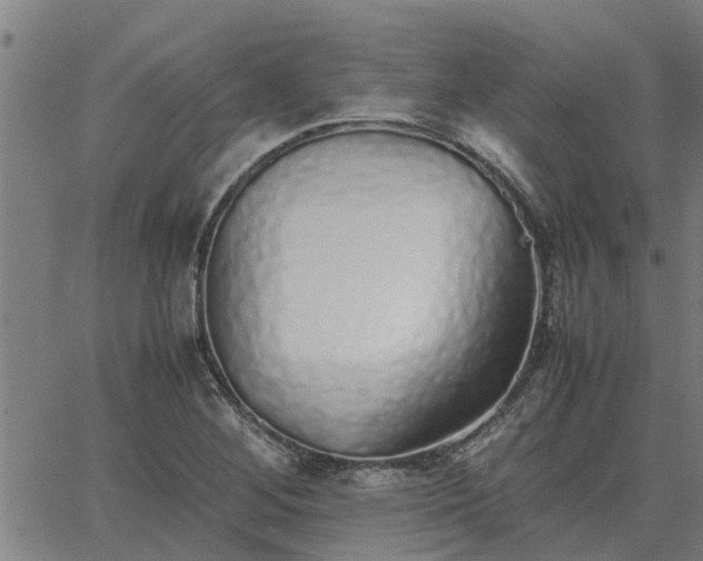 X0000062881268200601201810