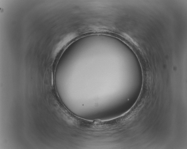 X0000062881269200601201810