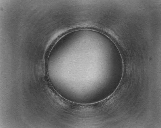 X0000062881270200601201810