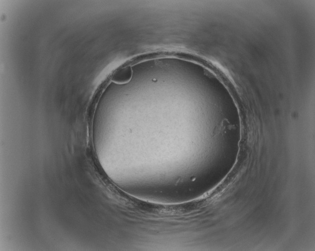 X0000062881271200601201810