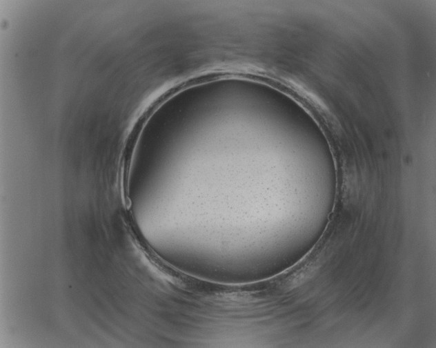 X0000062881272200601201810