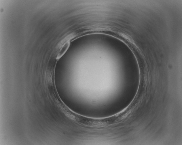 X0000062881273200601201810