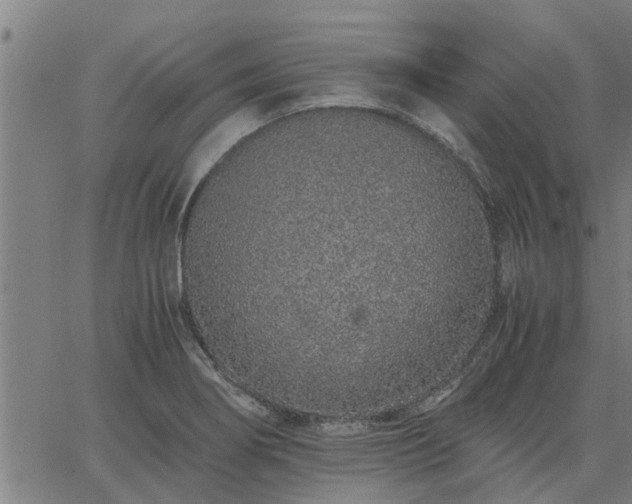 X0000062881274200601201810