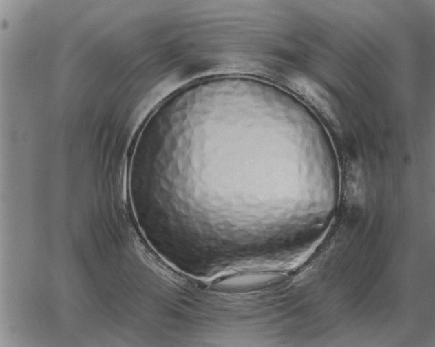 X0000062881276200601201810