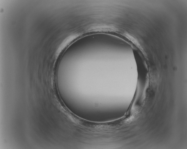 X0000062881277200601201810