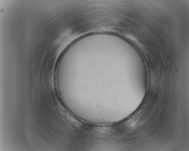 X0000062881278200601201810