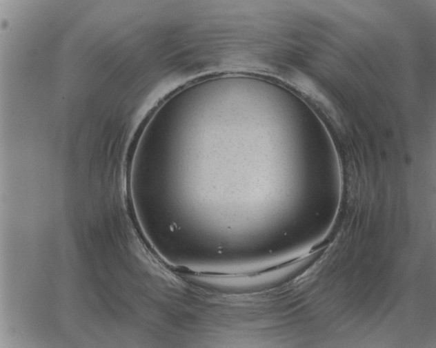 X0000062881280200601201810