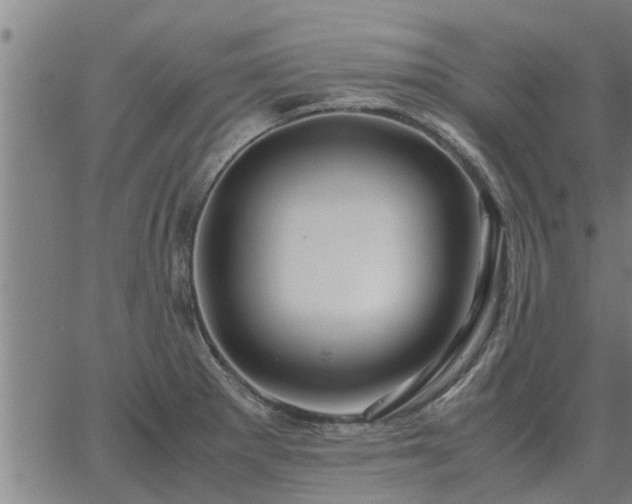 X0000062881281200601201810