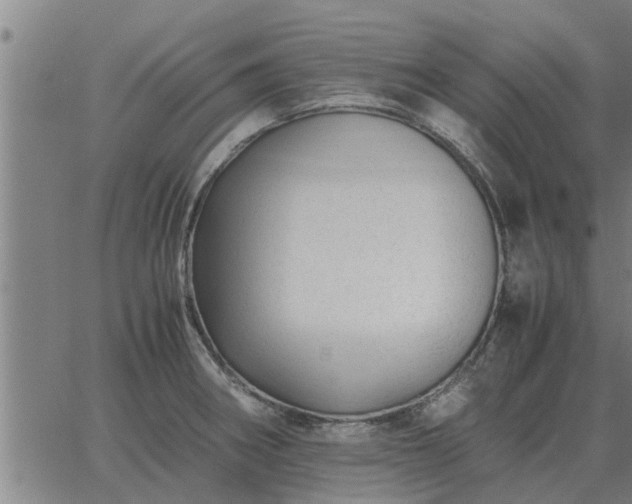 X0000062881282200601201810