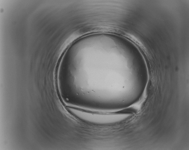 X0000062881283200601201810