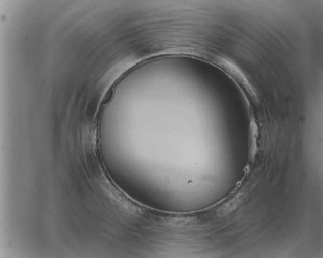 X0000062881284200601201810