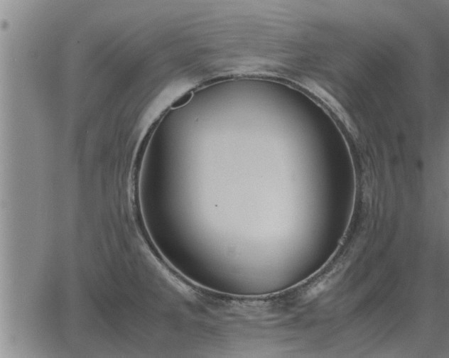 X0000062881285200601201810