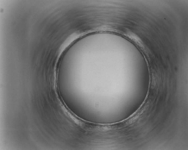 X0000062881286200601201810