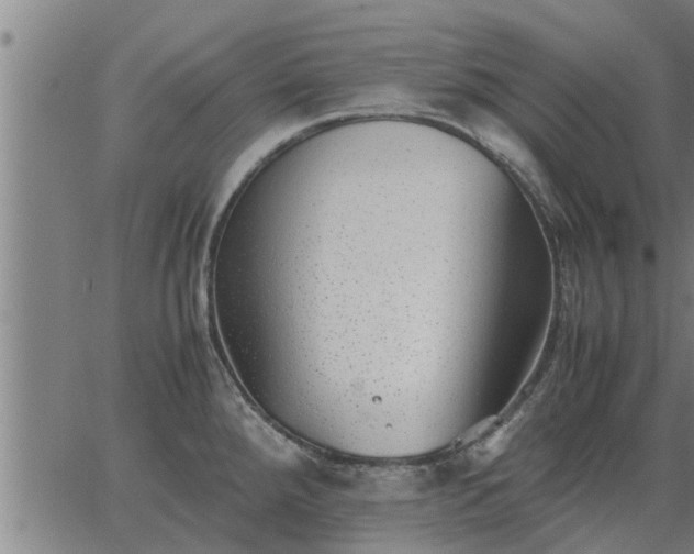 X0000062881288200601201810