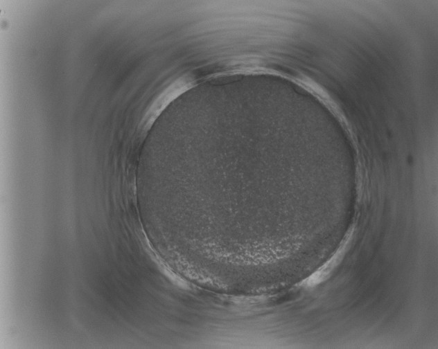 X0000062881289200601201810