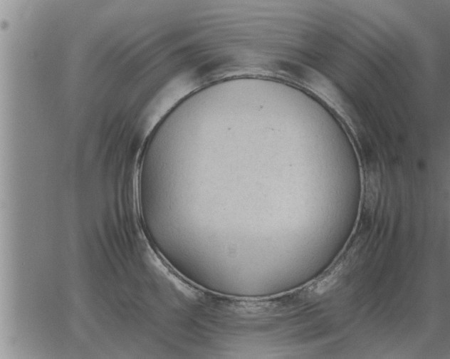 X0000062881290200601201810