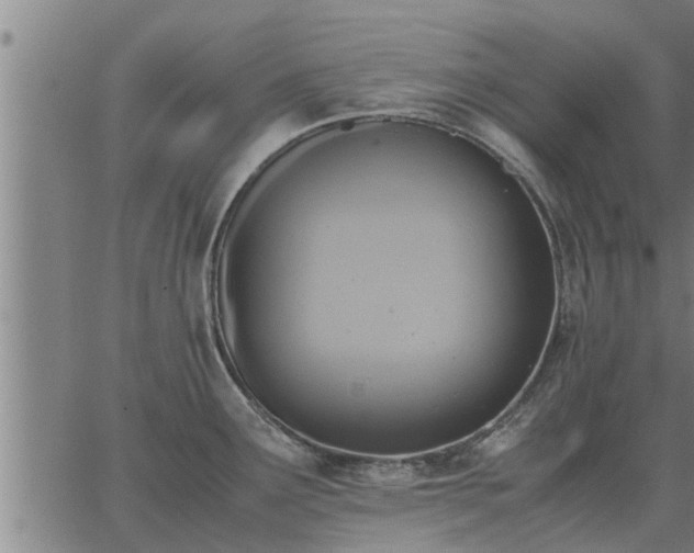 X0000062881291200601201810