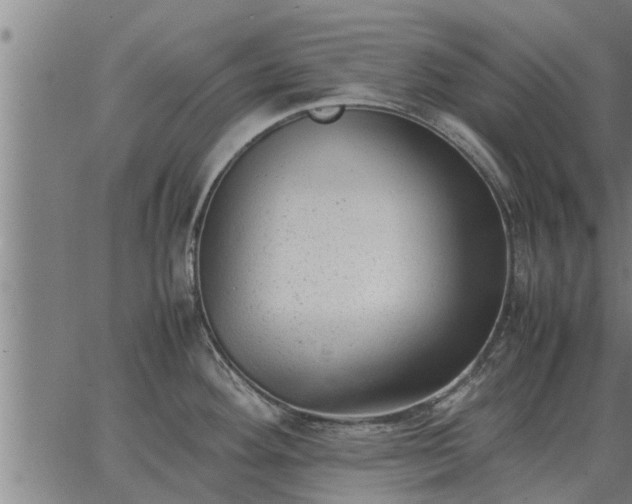 X0000062881292200601201810