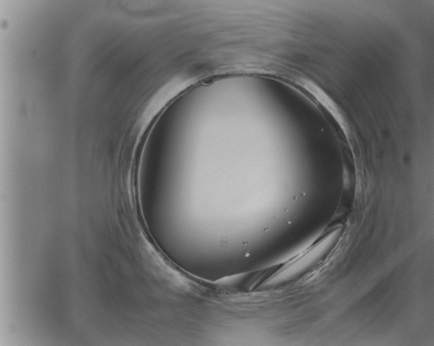 X0000062881293200601201810