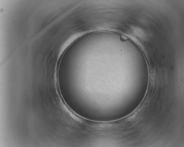 X0000062881294200601201810