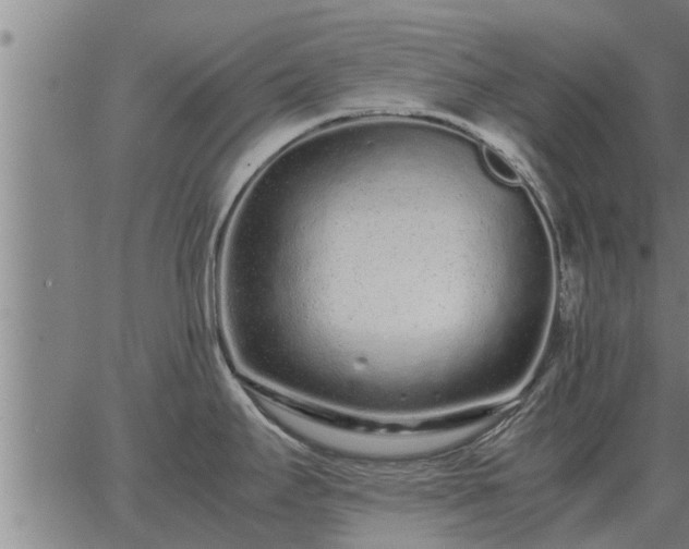 X0000062881295200601201810