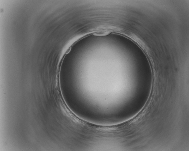 X0000062881296200601201810