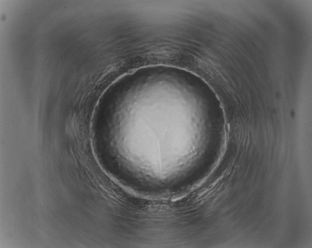 X0000062881297200601201809