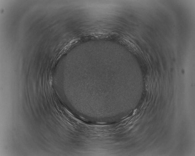 X0000062881298200601201809