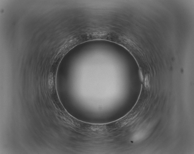 X0000062881299200601201809