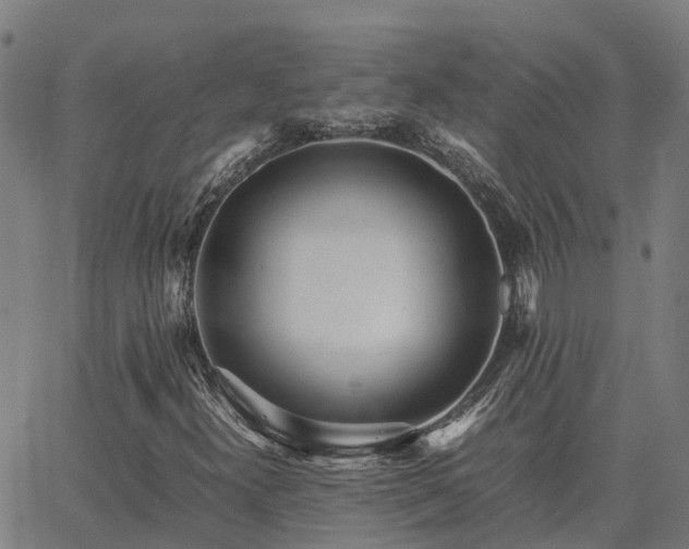 X0000062881300200601201809