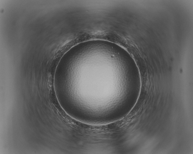 X0000062881301200601201809