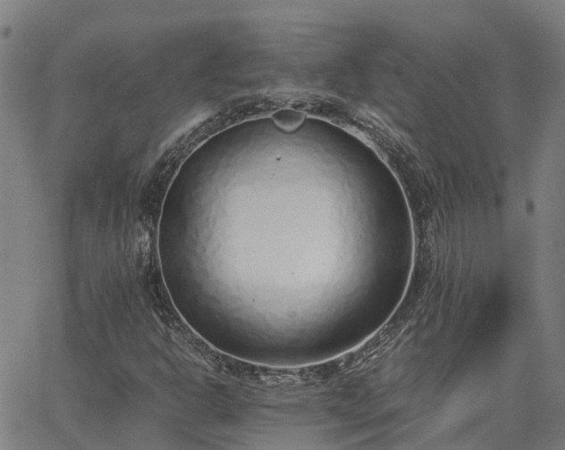 X0000062881302200601201809