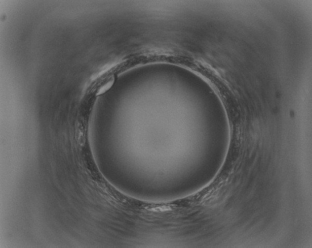 X0000062881303200601201809