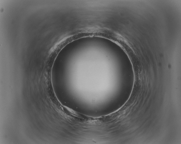 X0000062881304200601201809