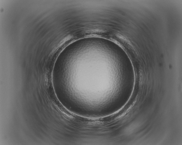 X0000062881305200601201809