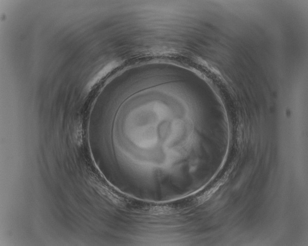 X0000062881306200601201809