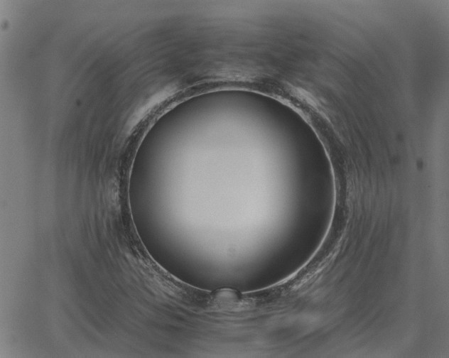 X0000062881307200601201809