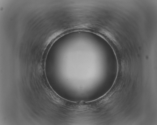 X0000062881308200601201809