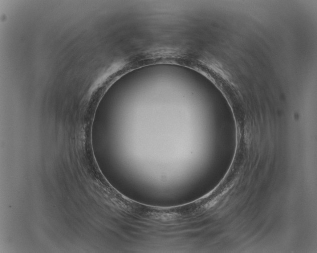 X0000062881309200601201809