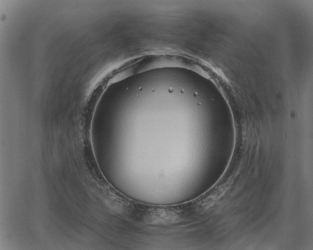 X0000062881311200601201809