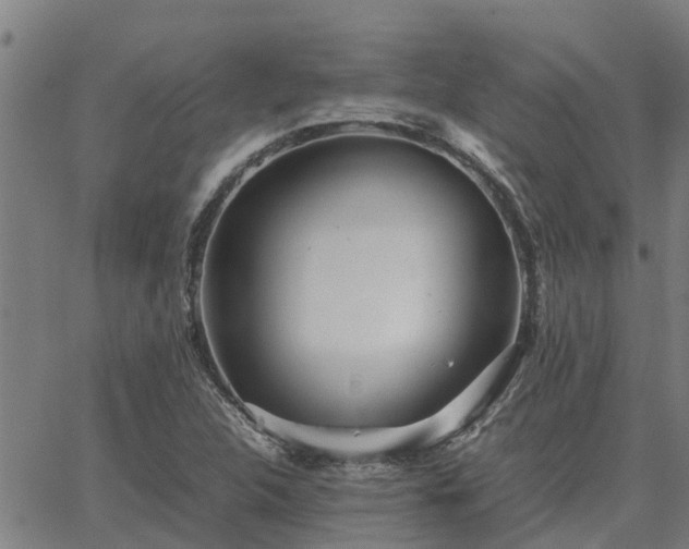 X0000062881312200601201809