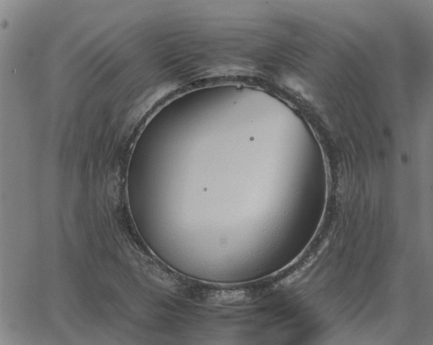 X0000062881313200601201809